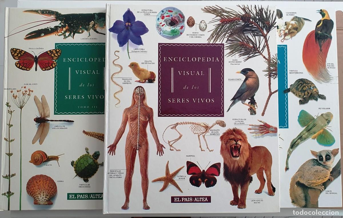 Libros de segunda mano: ENCICLOPEDIA VISUAL DE LOS SERES VIVOS. EL PAIS//ALTEA. - Foto 1