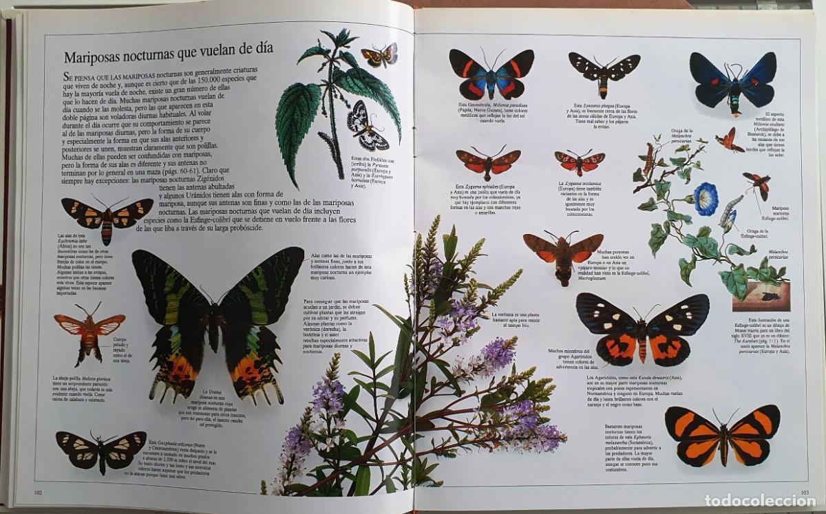 Libros de segunda mano: ENCICLOPEDIA VISUAL DE LOS SERES VIVOS. EL PAIS//ALTEA. - Foto 6