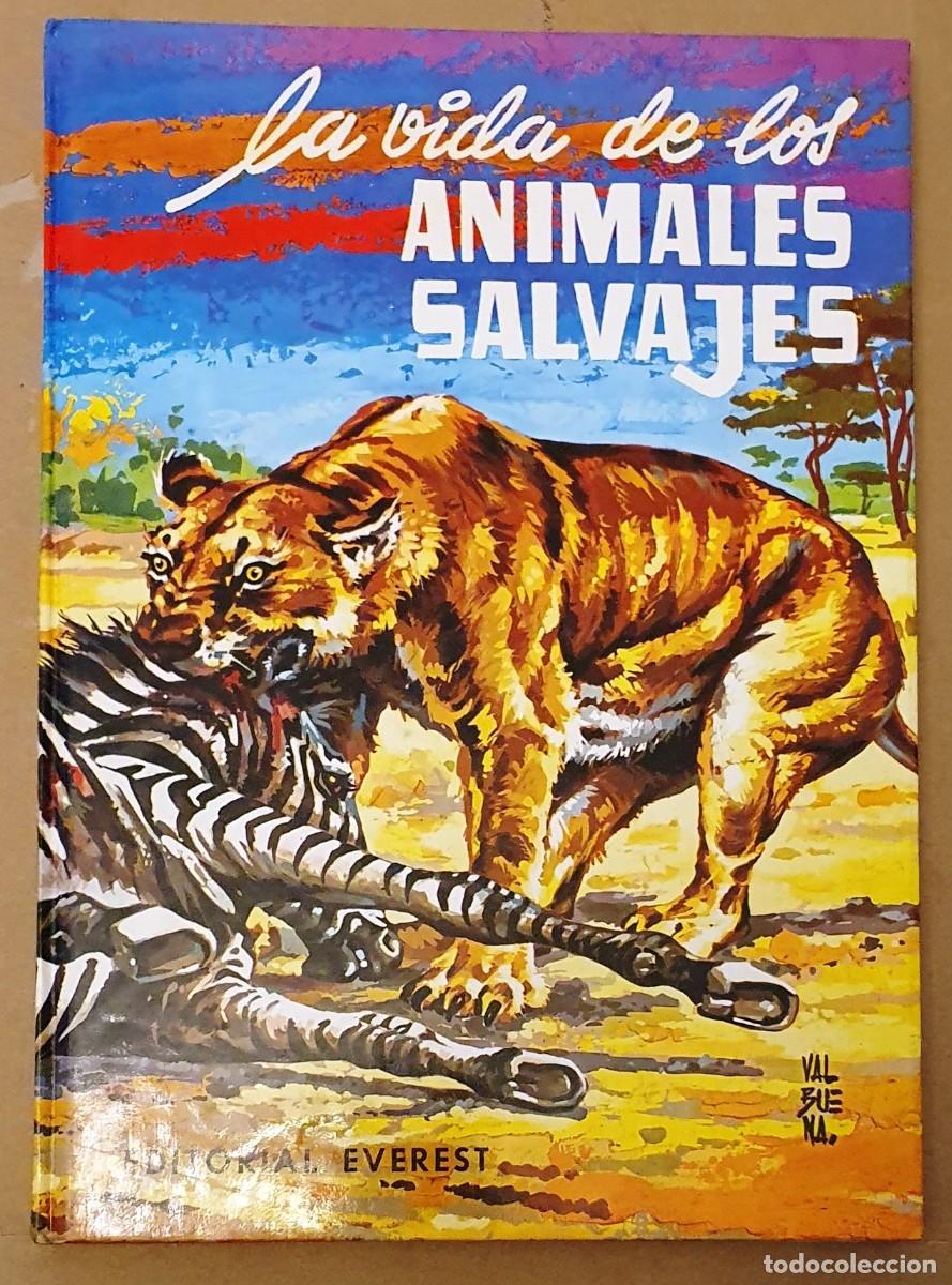 Libros de segunda mano: LA VIDA DE LOS ANIMALES SALVAJES. EDITORIAL EVEREST. - Foto 1