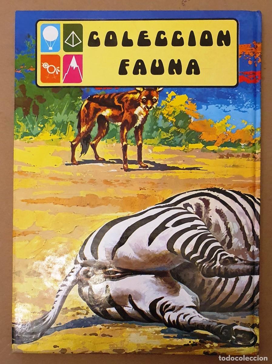 Libros de segunda mano: LA VIDA DE LOS ANIMALES SALVAJES. EDITORIAL EVEREST. - Foto 2