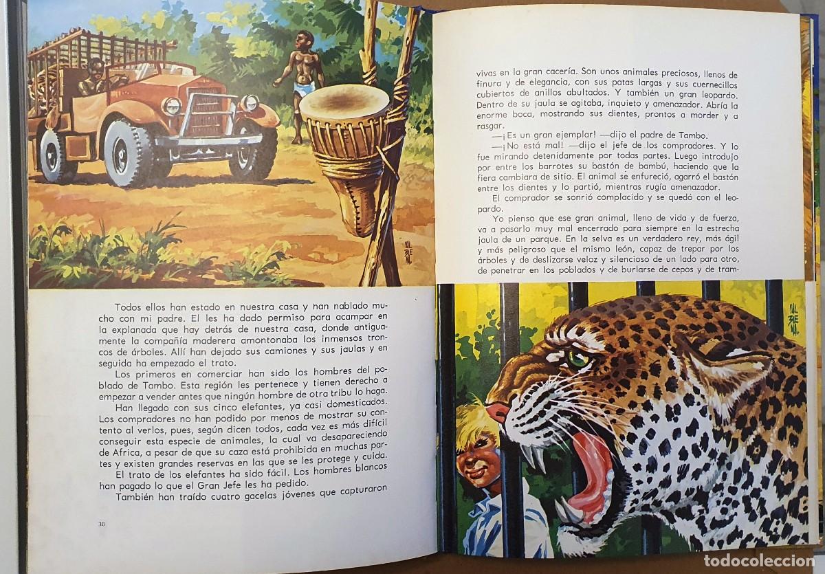 Libros de segunda mano: LA VIDA DE LOS ANIMALES SALVAJES. EDITORIAL EVEREST. - Foto 3