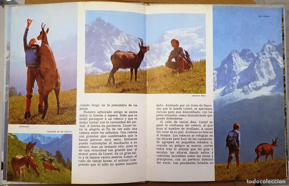 Libros de segunda mano: SLIMANE Y LOS ANIMALES DEL DESIERTO. - Foto 2