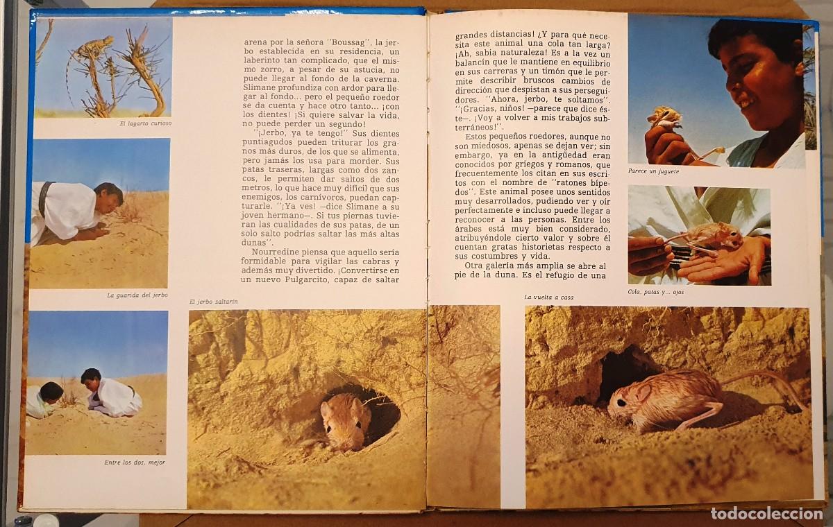 Libros de segunda mano: SLIMANE Y LOS ANIMALES DEL DESIERTO. - Foto 4
