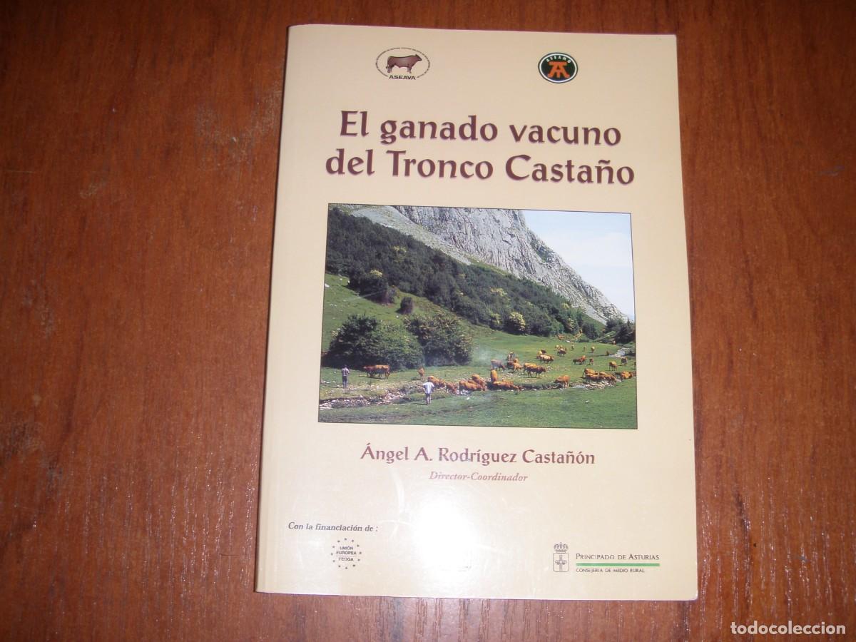 Libros de segunda mano: EL GANADO VACUNO DE TRONCO CASTA&Ntilde;O - Foto 1
