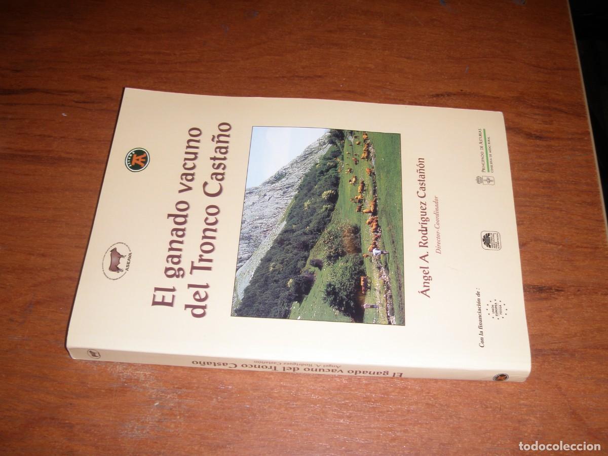 Libros de segunda mano: EL GANADO VACUNO DE TRONCO CASTA&Ntilde;O - Foto 2