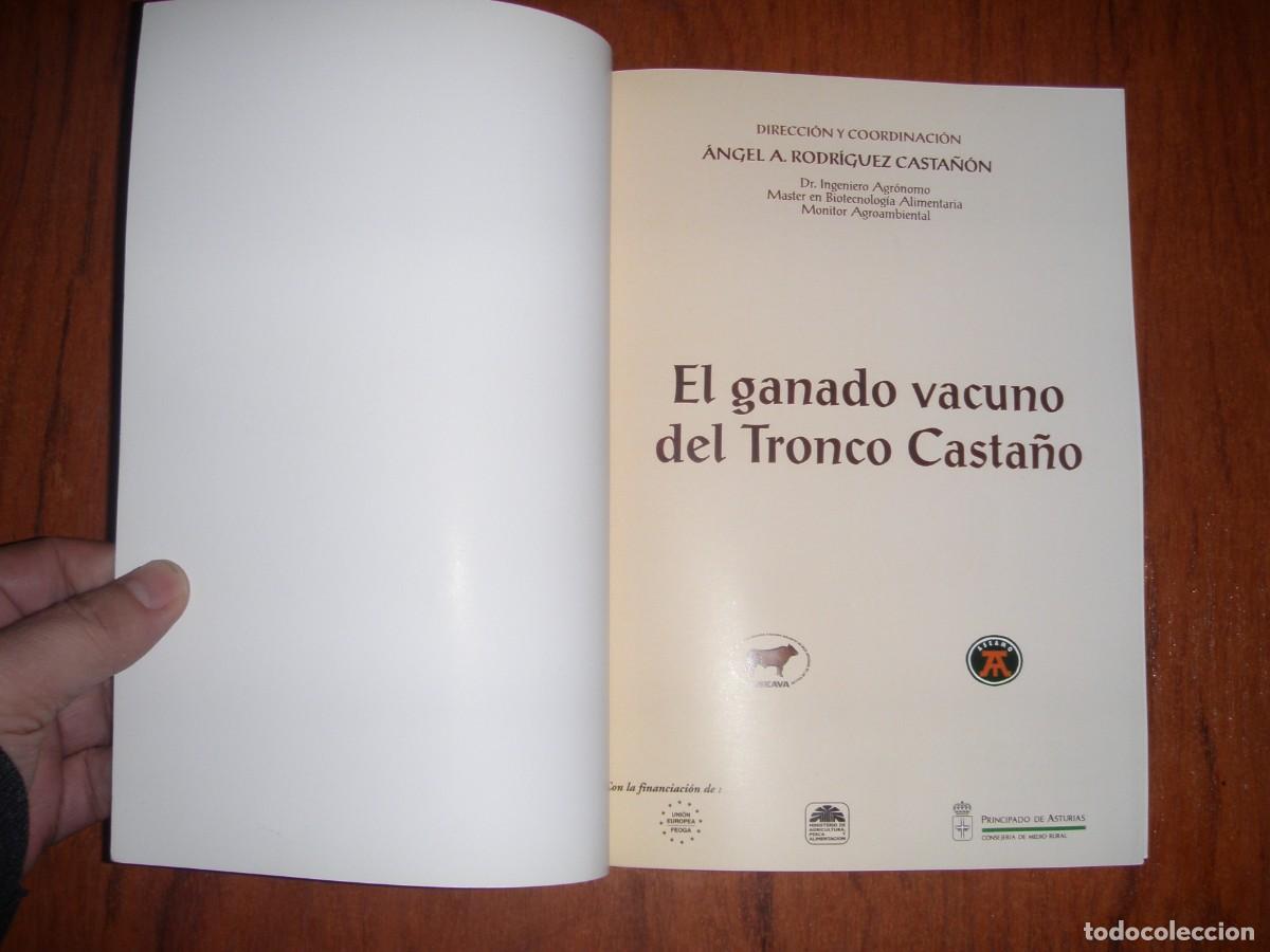 Libros de segunda mano: EL GANADO VACUNO DE TRONCO CASTA&Ntilde;O - Foto 3