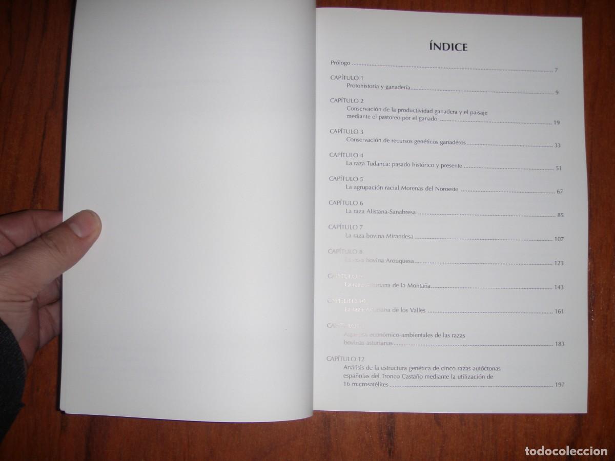 Libros de segunda mano: EL GANADO VACUNO DE TRONCO CASTA&Ntilde;O - Foto 4