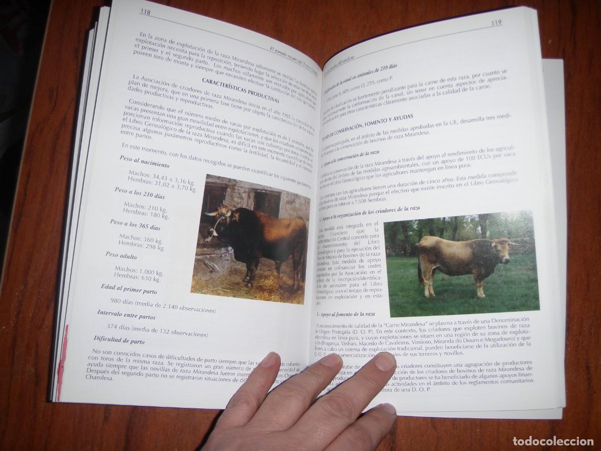 Libros de segunda mano: EL GANADO VACUNO DE TRONCO CASTA&Ntilde;O - Foto 6
