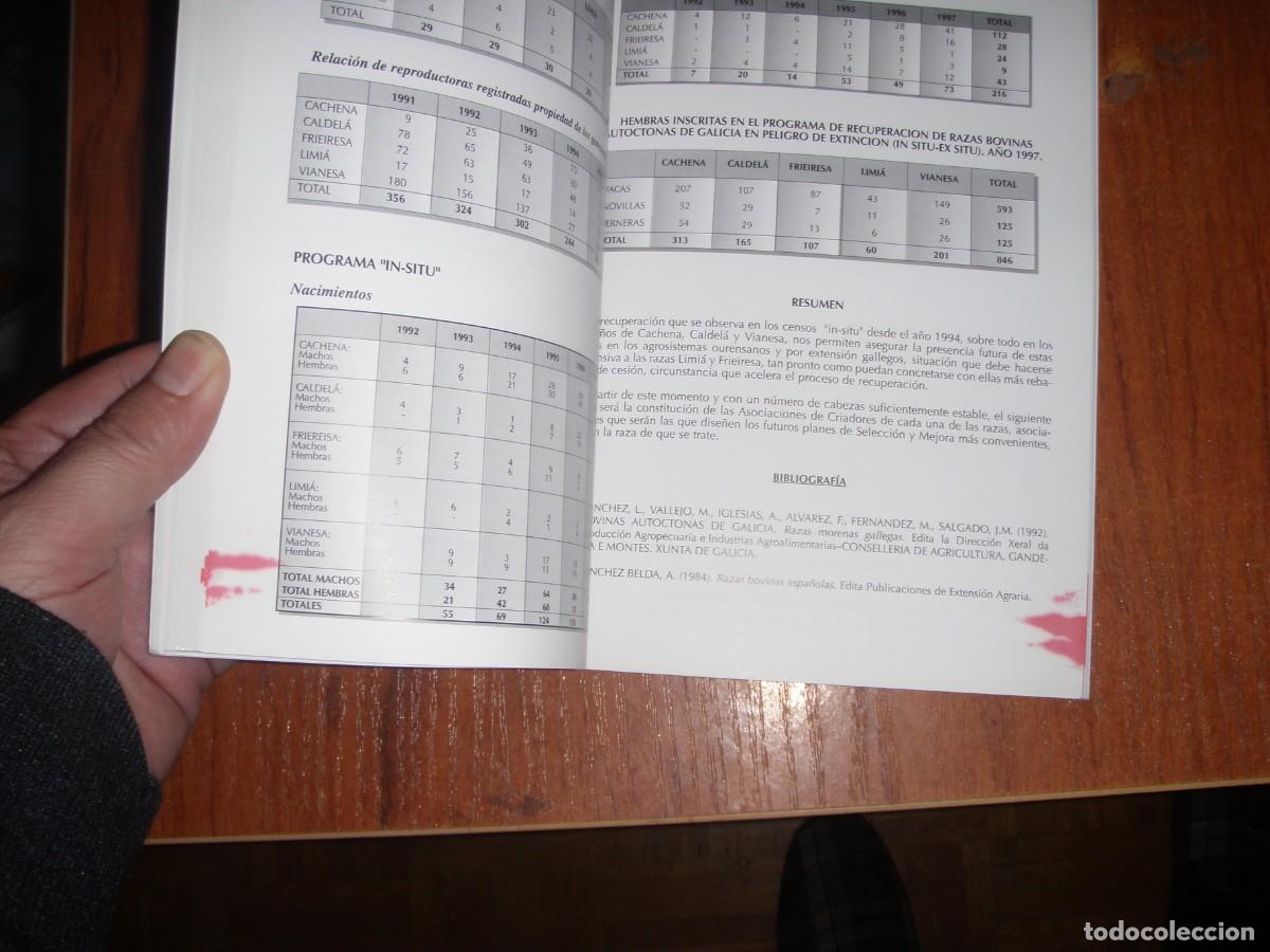 Libros de segunda mano: EL GANADO VACUNO DE TRONCO CASTA&Ntilde;O - Foto 11