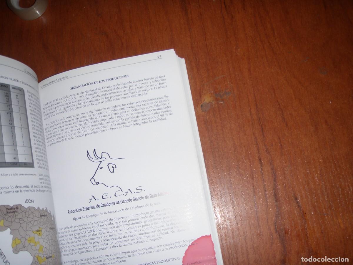 Libros de segunda mano: EL GANADO VACUNO DE TRONCO CASTA&Ntilde;O - Foto 12