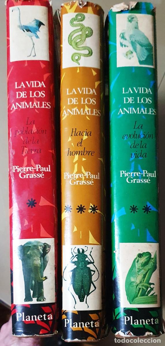 Libros de segunda mano: LA VIDA DE LOS ANIMALES. TRES TOMOS. PLANETA 1975. - Foto 1
