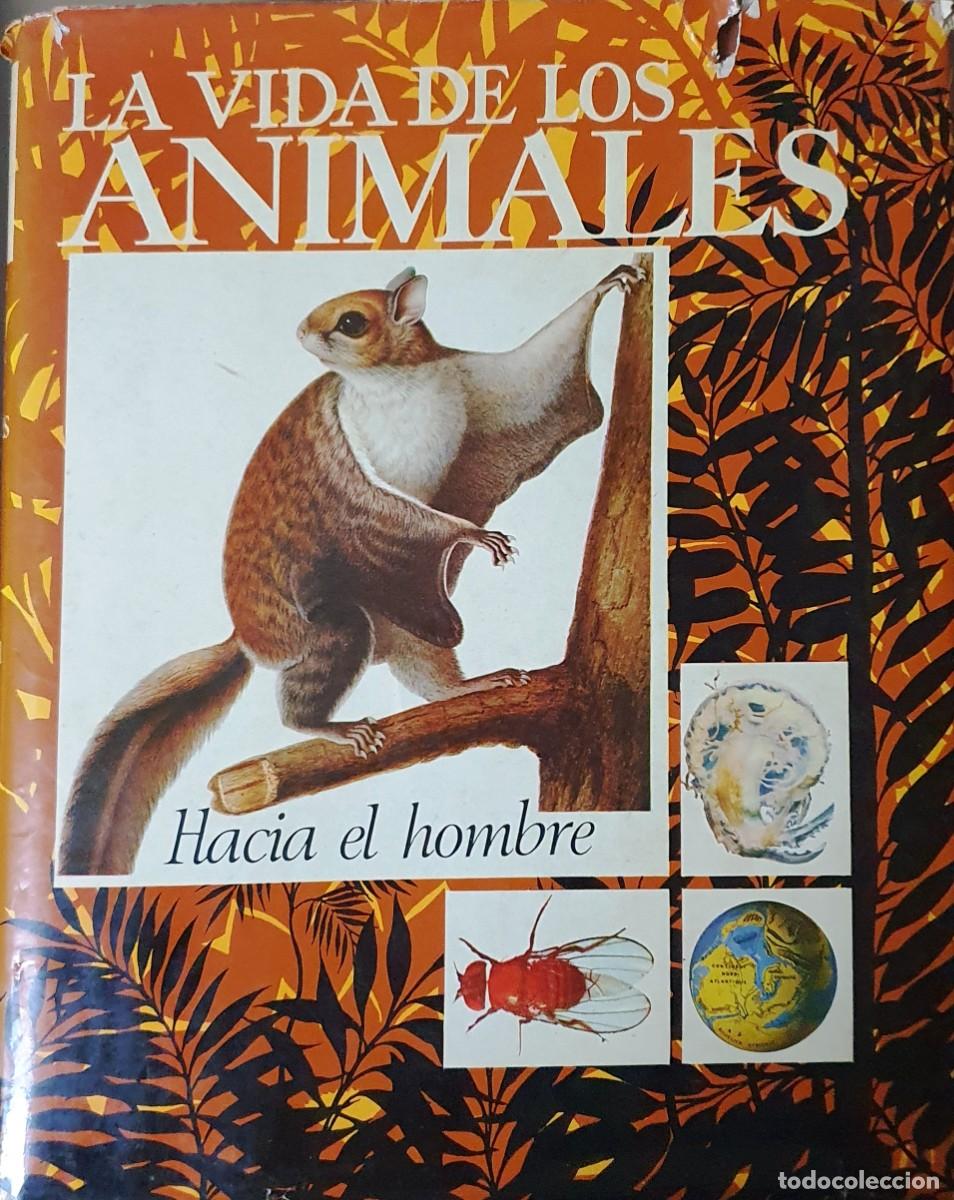Libros de segunda mano: LA VIDA DE LOS ANIMALES. TRES TOMOS. PLANETA 1975. - Foto 3