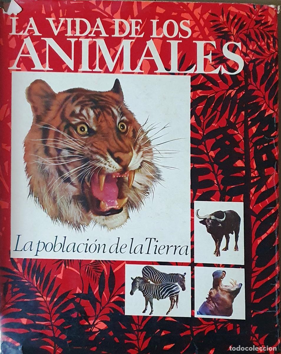 Libros de segunda mano: LA VIDA DE LOS ANIMALES. TRES TOMOS. PLANETA 1975. - Foto 4