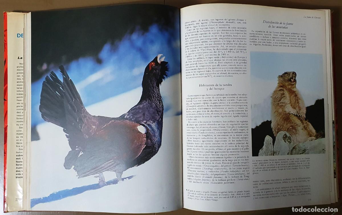 Libros de segunda mano: LA VIDA DE LOS ANIMALES. TRES TOMOS. PLANETA 1975. - Foto 5