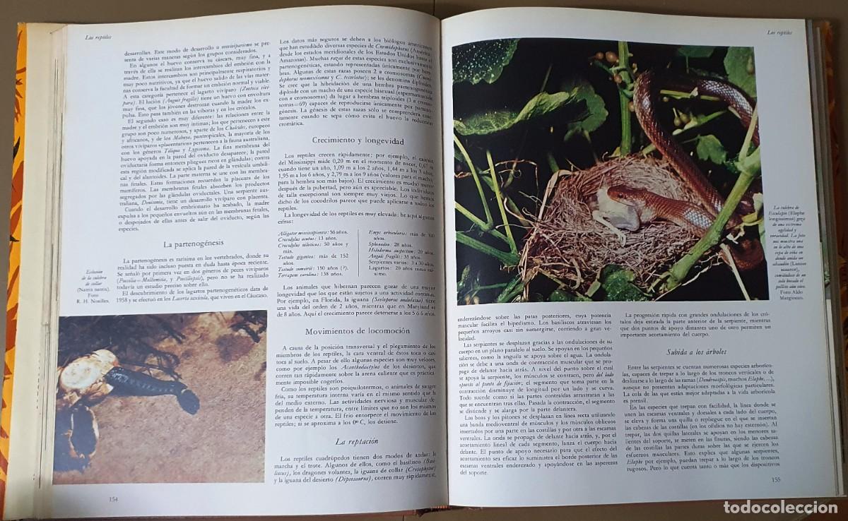 Libros de segunda mano: LA VIDA DE LOS ANIMALES. TRES TOMOS. PLANETA 1975. - Foto 6