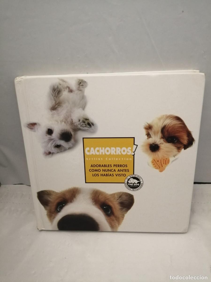 Gebrauchte B&uuml;cher: CACHORROS: Adorables perros como nunca antes los hab&iacute;as visto (tapa dura)
