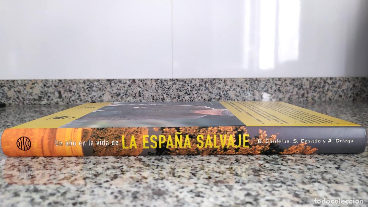 Libros de segunda mano: Libro UN A&Ntilde;O EN LA VIDA DE LA ESPA&Ntilde;A SALVAJE - Foto 4