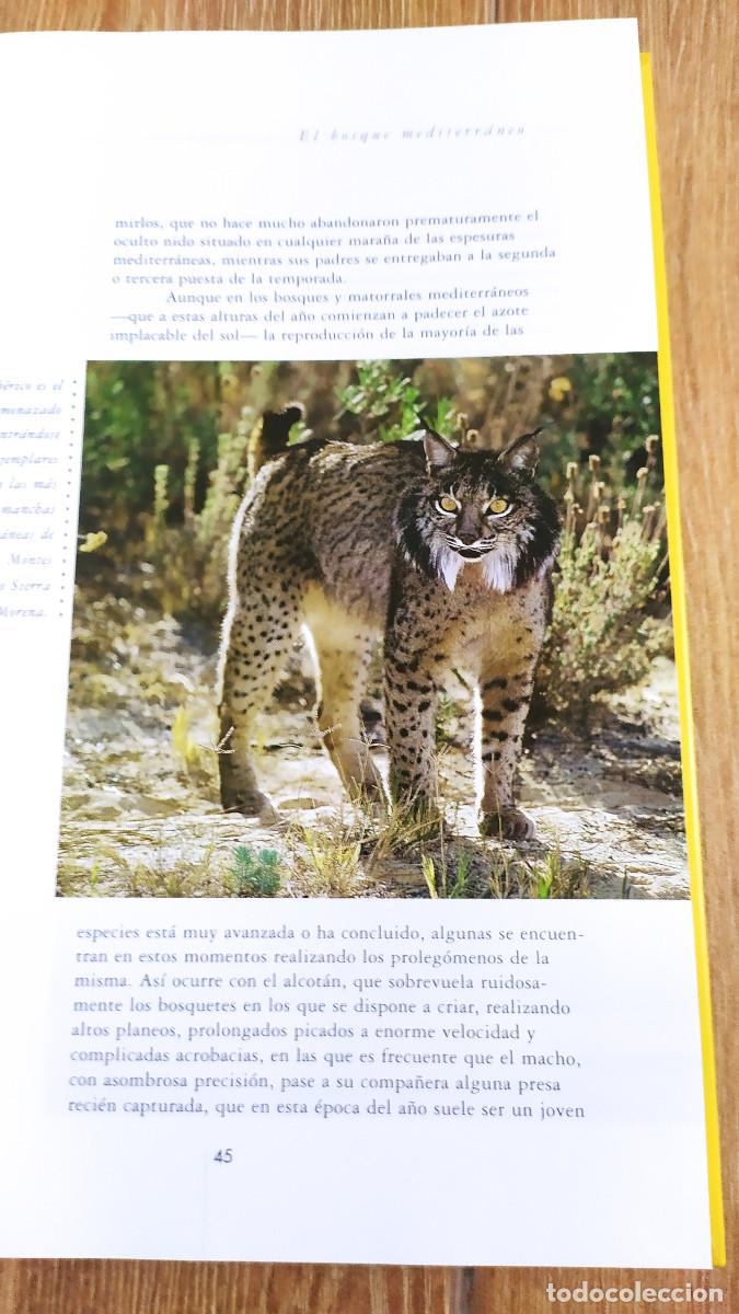 Libros de segunda mano: Libro UN A&Ntilde;O EN LA VIDA DE LA ESPA&Ntilde;A SALVAJE - Foto 9