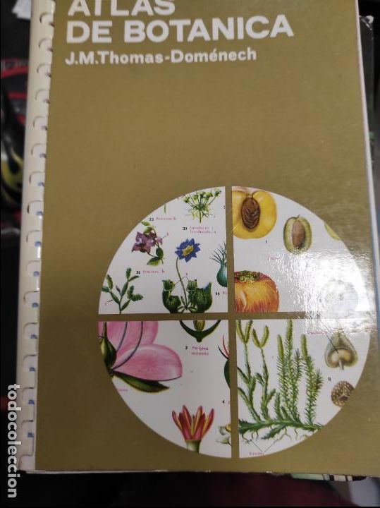 Libros de segunda mano: ATLAS DE BOTANICA J.M.Thomas-Dom&eacute;nech - Foto 1