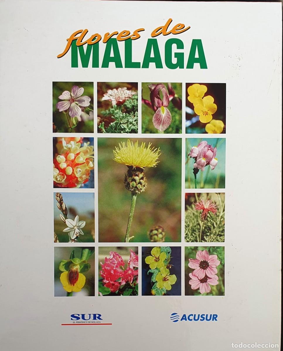 Gebrauchte B&uuml;cher: FLORES DE MALAGA. FICHAS DEL DIARIO SUR.