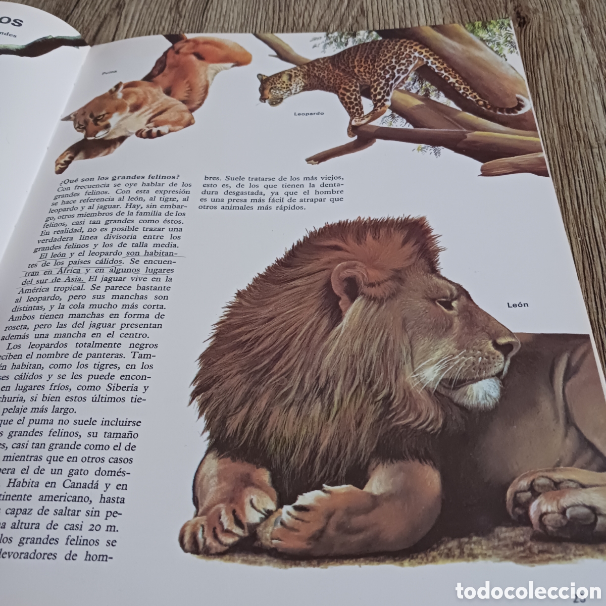 Libros de segunda mano: La vida de los Carn&iacute;voros de los,Dr Maurice y Robert Burton - Foto 2