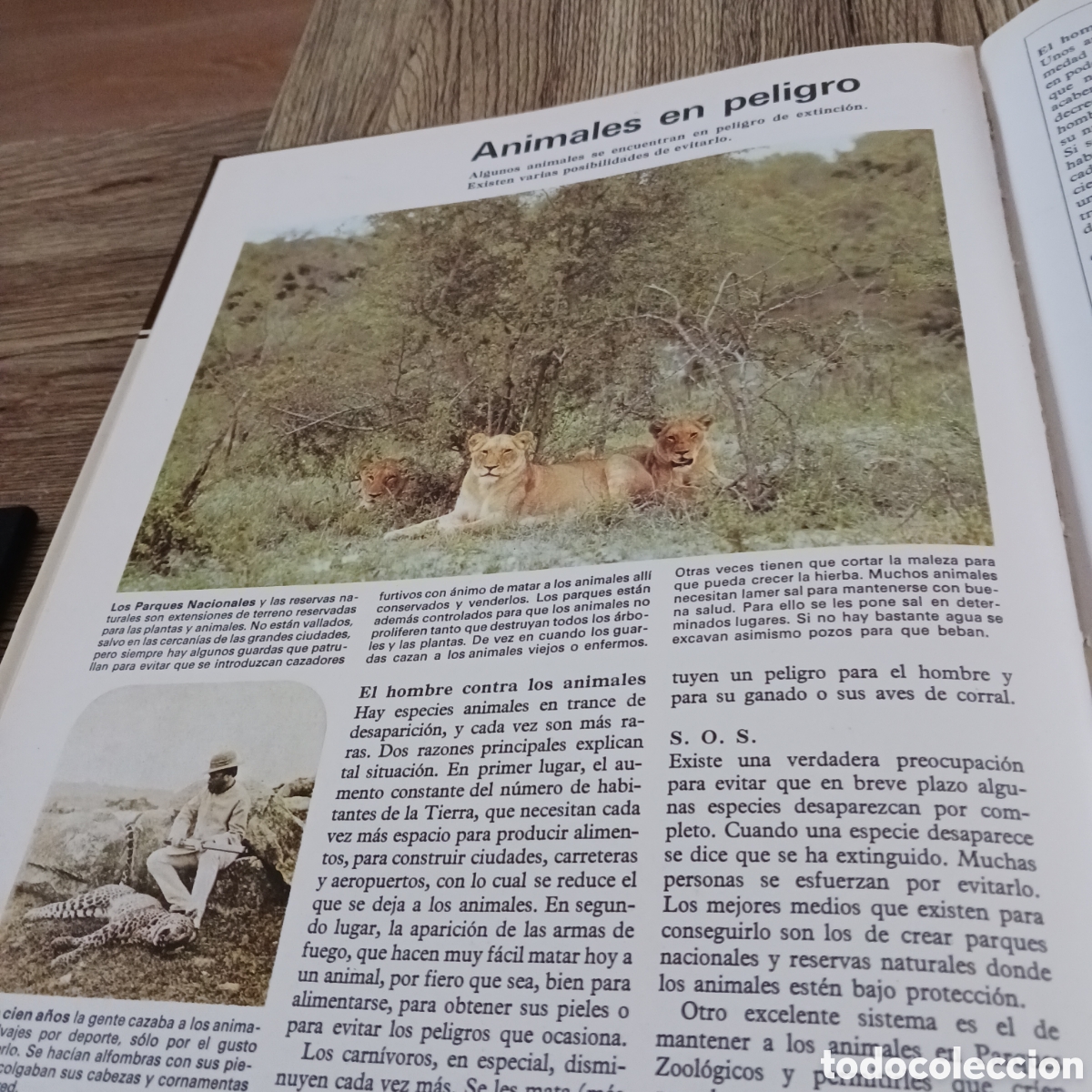 Libros de segunda mano: La vida de los Carn&iacute;voros de los,Dr Maurice y Robert Burton - Foto 3
