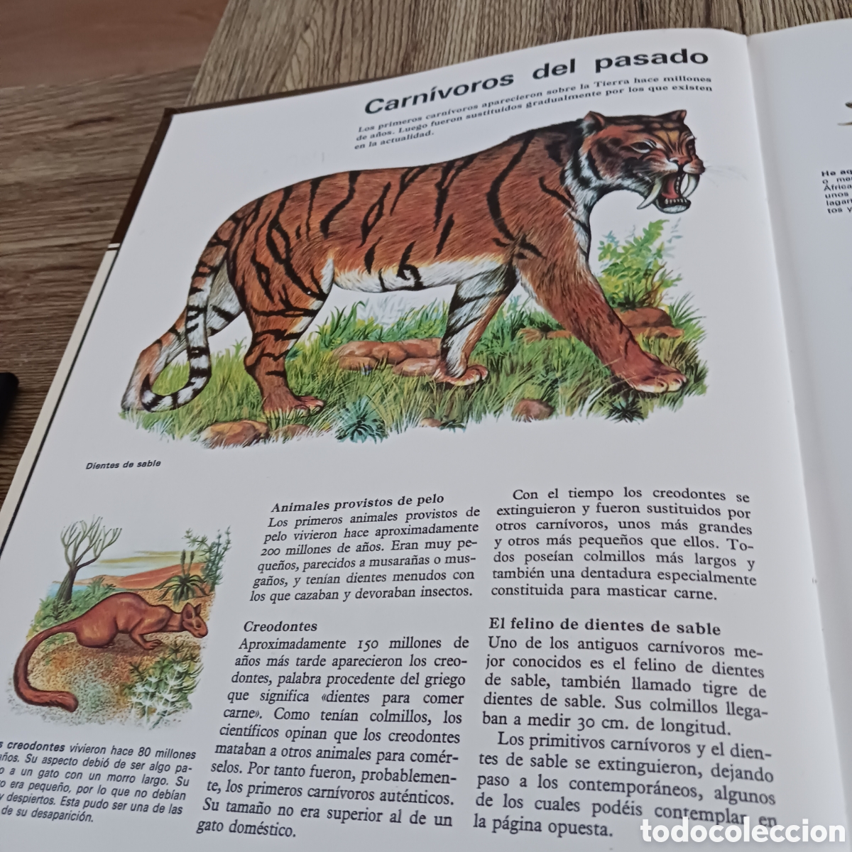 Libros de segunda mano: La vida de los Carn&iacute;voros de los,Dr Maurice y Robert Burton - Foto 6