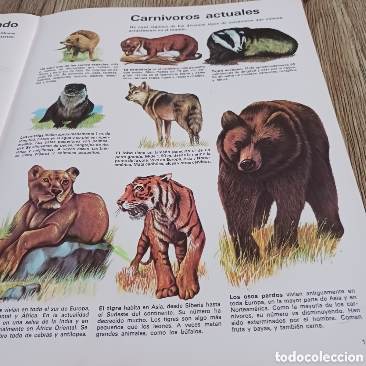 Libros de segunda mano: La vida de los Carn&iacute;voros de los,Dr Maurice y Robert Burton - Foto 7