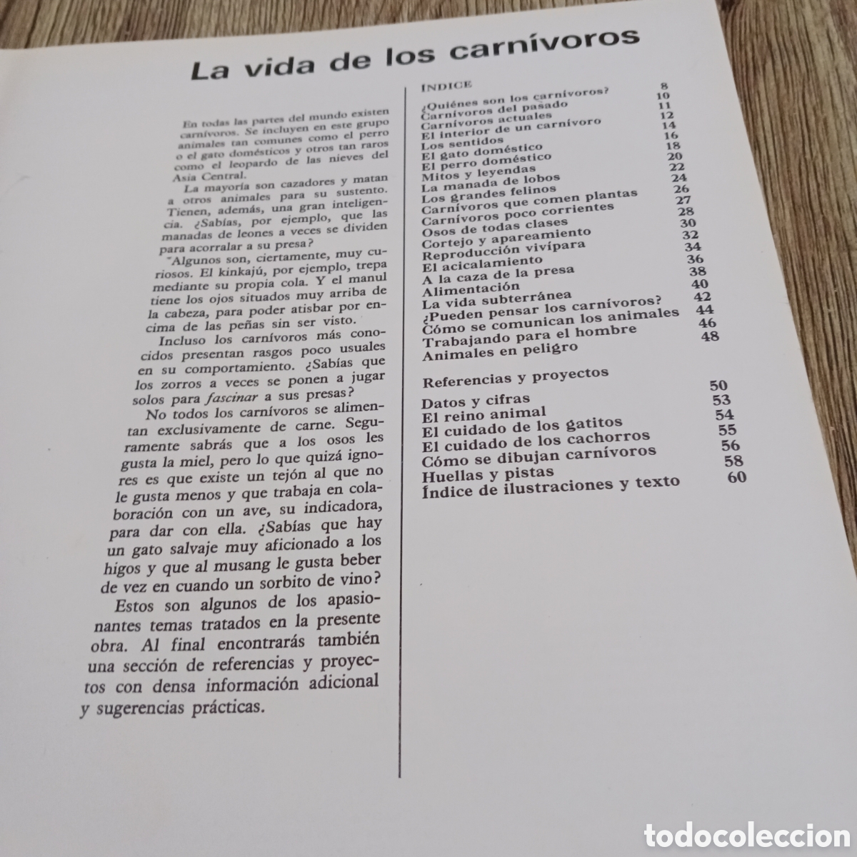 Libros de segunda mano: La vida de los Carn&iacute;voros de los,Dr Maurice y Robert Burton - Foto 8