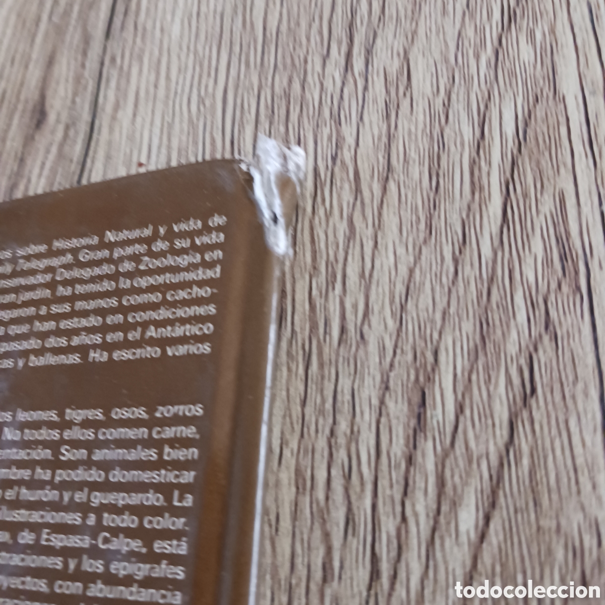 Libros de segunda mano: La vida de los Carn&iacute;voros de los,Dr Maurice y Robert Burton - Foto 11