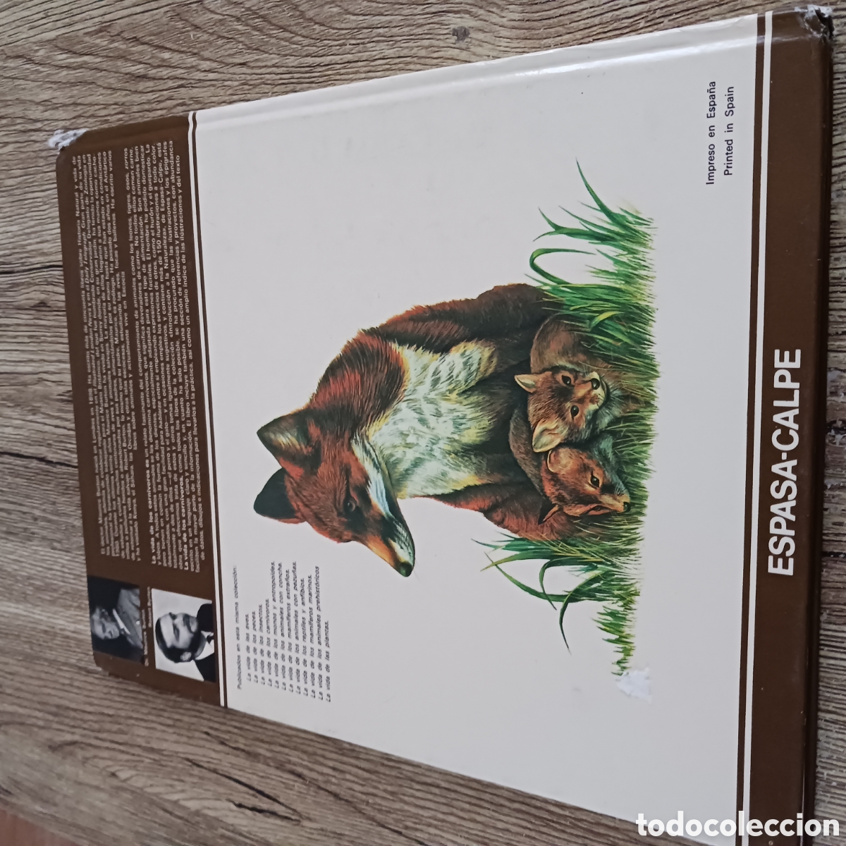 Libros de segunda mano: La vida de los Carn&iacute;voros de los,Dr Maurice y Robert Burton - Foto 13