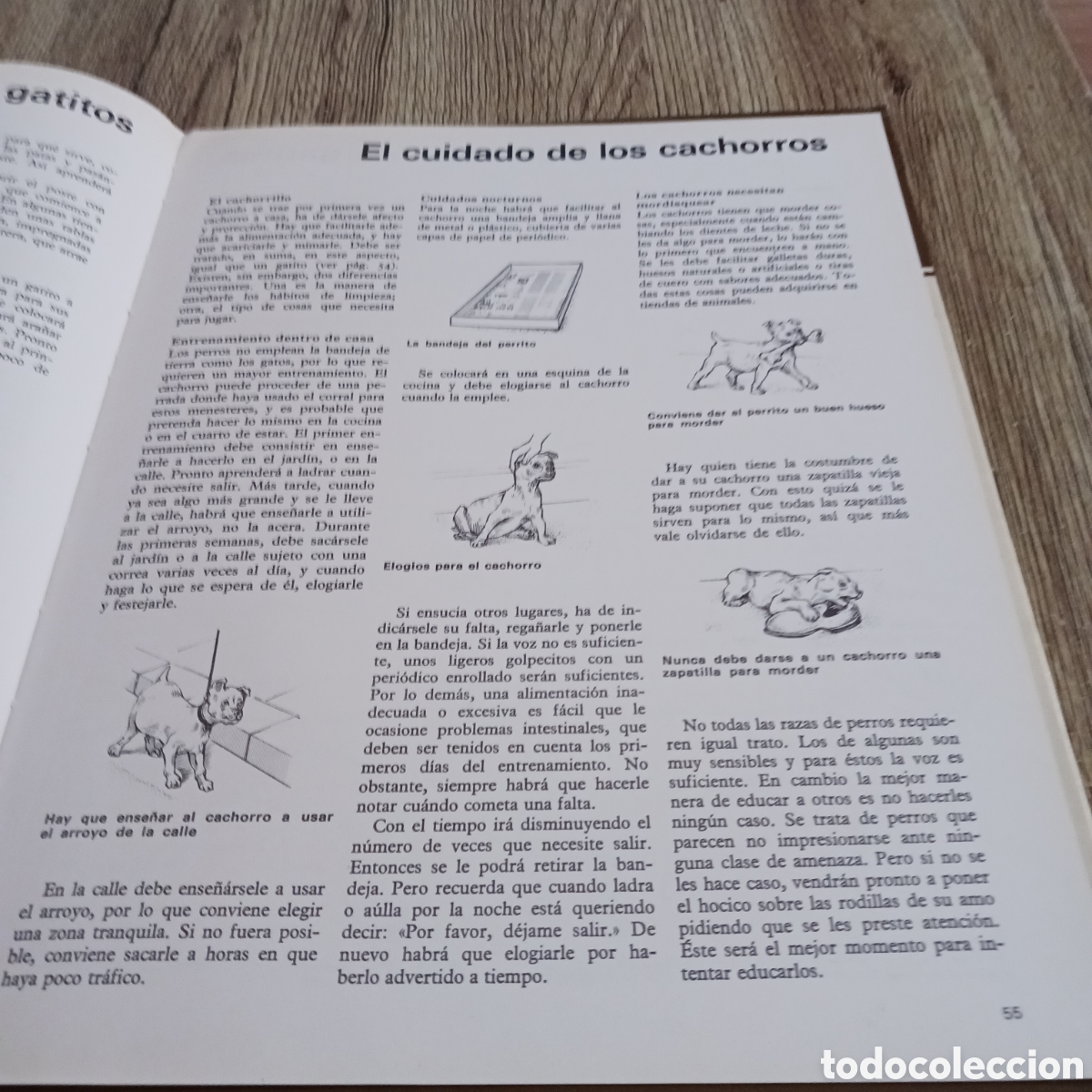 Libros de segunda mano: La vida de los Carn&iacute;voros de los,Dr Maurice y Robert Burton - Foto 14