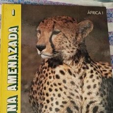 Libros de segunda mano: FAUNA AMENAZADA N 1 - AFRICA I - ED. ANAYA -AÑO 1989