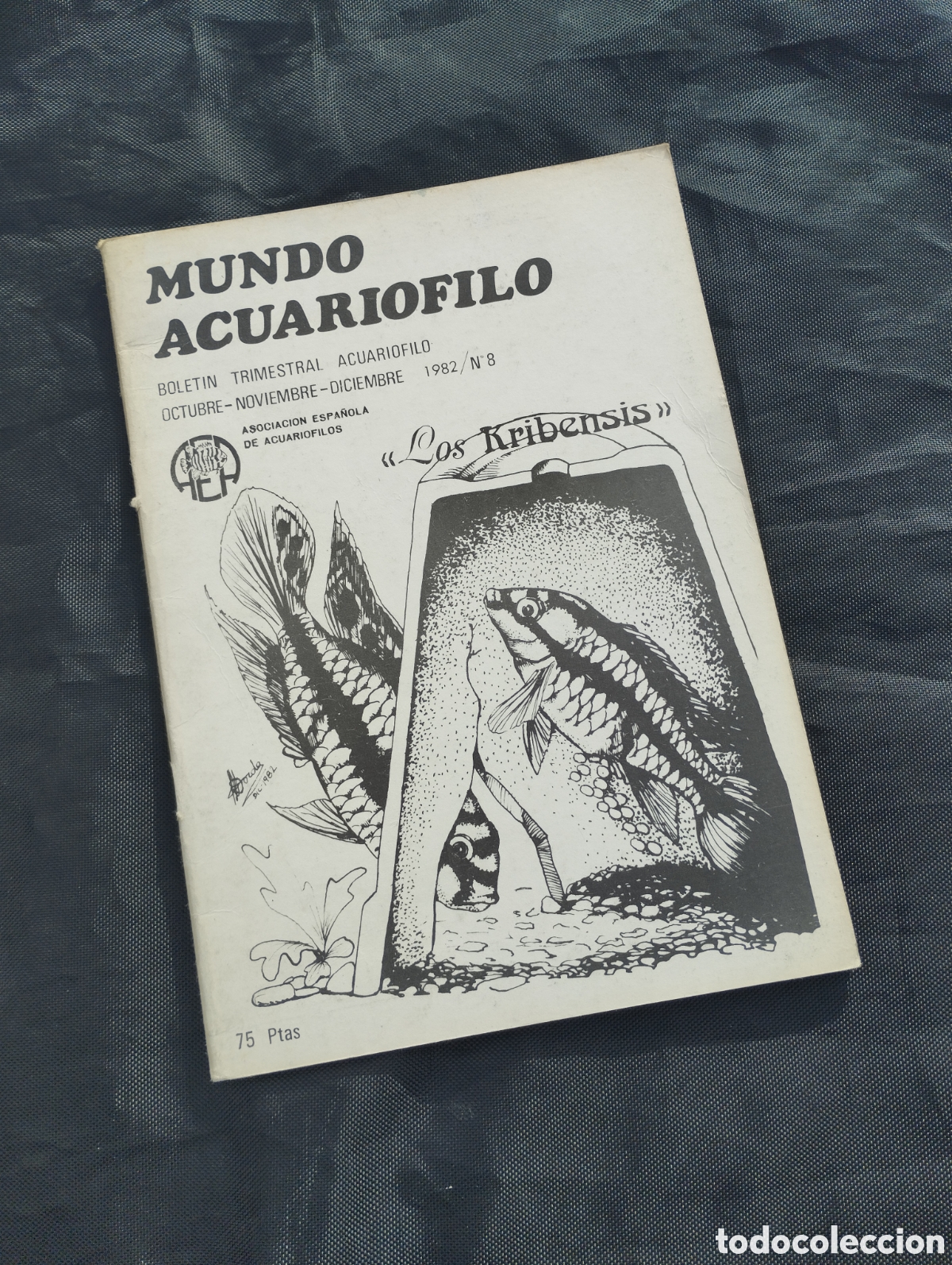 Libros de segunda mano: Mundo acuar&oacute;filo n&ordm;8. Oct-Nov-Dic 1982. - Foto 1