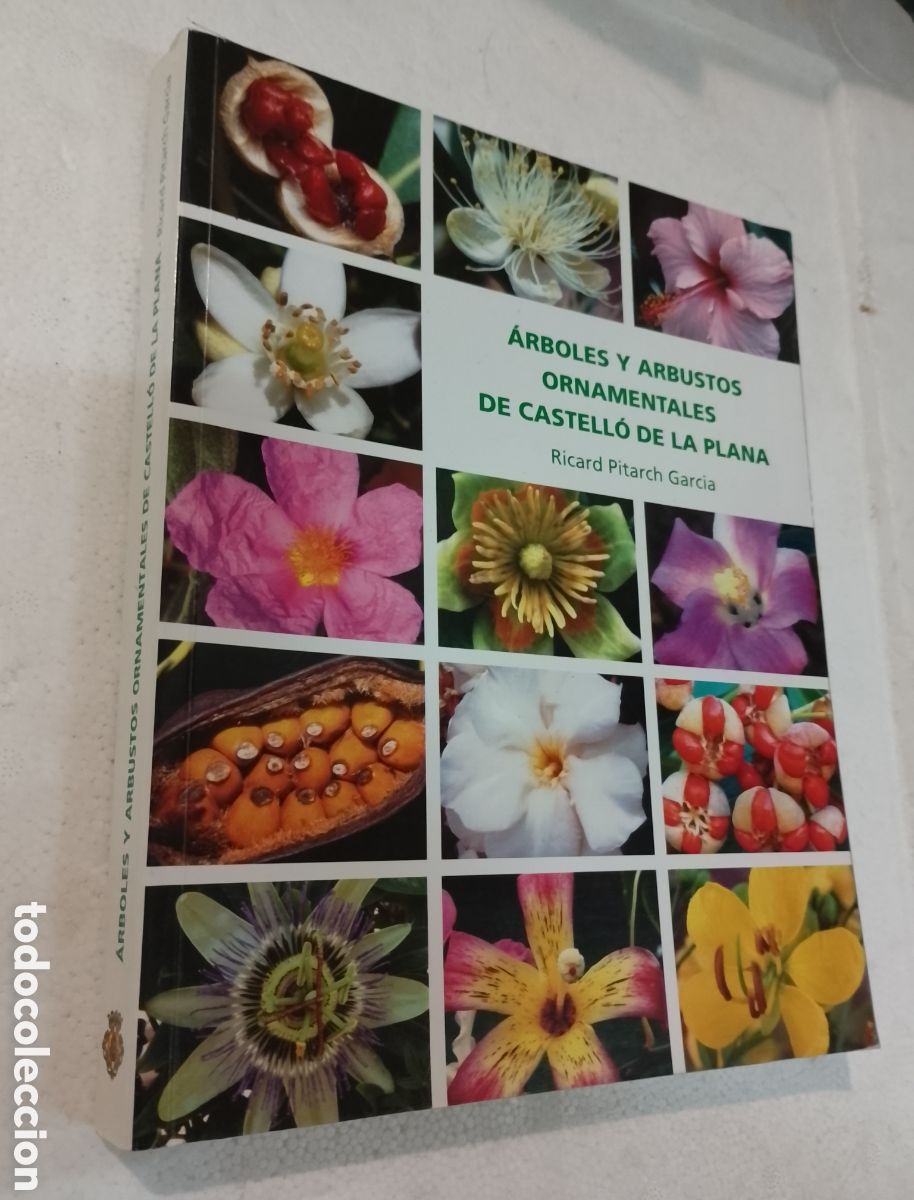 Gebrauchte B&uuml;cher: ARBOLES Y ARBUSTOS ORNAMENTALES DE CASTELL&Oacute;N DE LA PLANA. PITARCH GARCIA, R. AYUNTAMIENTO CASTRLLON,