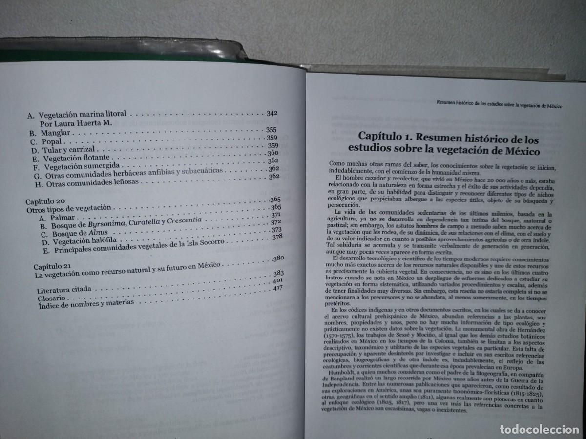 Libros de segunda mano: 82- VEGETACI&Oacute;N DE M&Eacute;XICO - JERZY RZEOWSKI - CONABIO 2005 - Foto 7