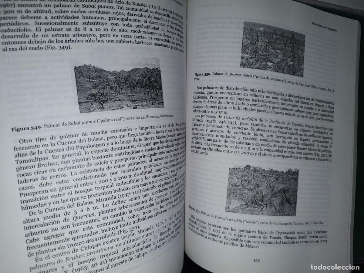 Libros de segunda mano: 82- VEGETACI&Oacute;N DE M&Eacute;XICO - JERZY RZEOWSKI - CONABIO 2005 - Foto 8