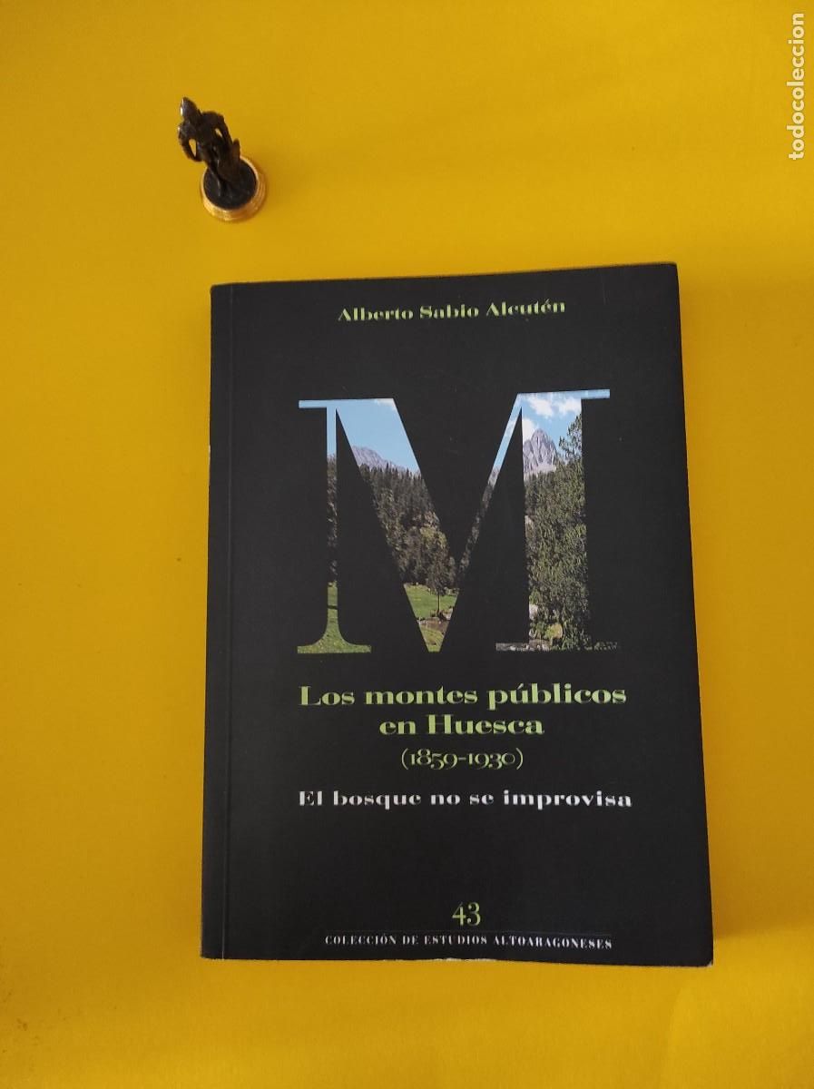 Gebrauchte B&uuml;cher: LOS MONTES P&Uacute;BLICOS EN HUESCA - Sabio Aleut&eacute;n , Alberto