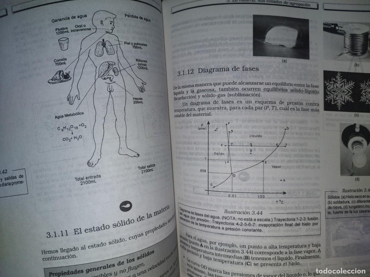Libros de segunda mano de ciencias: 82- QU&Iacute;MICA - A. GARRITZ, J. A. CHAMIZO - PEARSON EDUCACI&Oacute;N - 1998 - Foto 16
