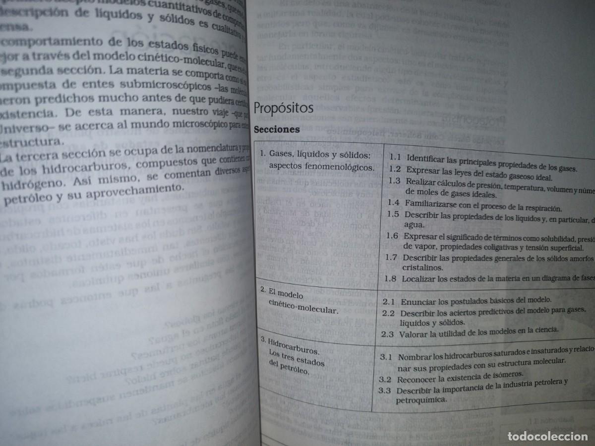 Libros de segunda mano de ciencias: 82- QU&Iacute;MICA - A. GARRITZ, J. A. CHAMIZO - PEARSON EDUCACI&Oacute;N - 1998 - Foto 17