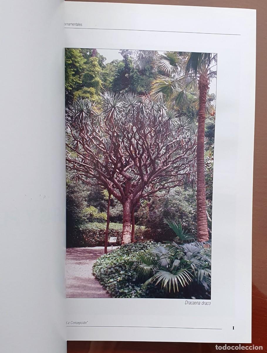 Libros de segunda mano: CATALOGO DE ESPECIES ORNAMENTALES. LA CONCEPCION. MALAGA. - Foto 2