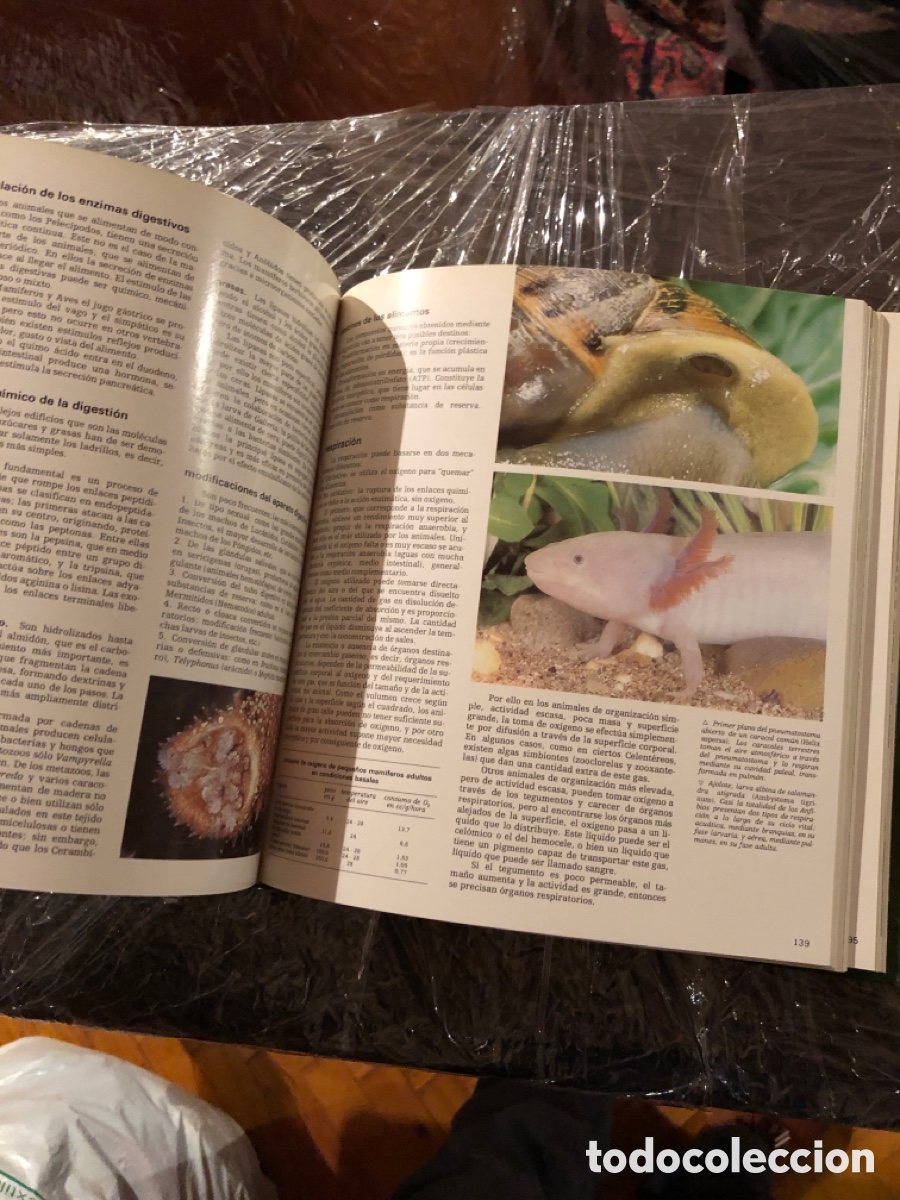 Libros de segunda mano: Historia Natural Carrogio 6 vol&uacute;menes - Foto 3