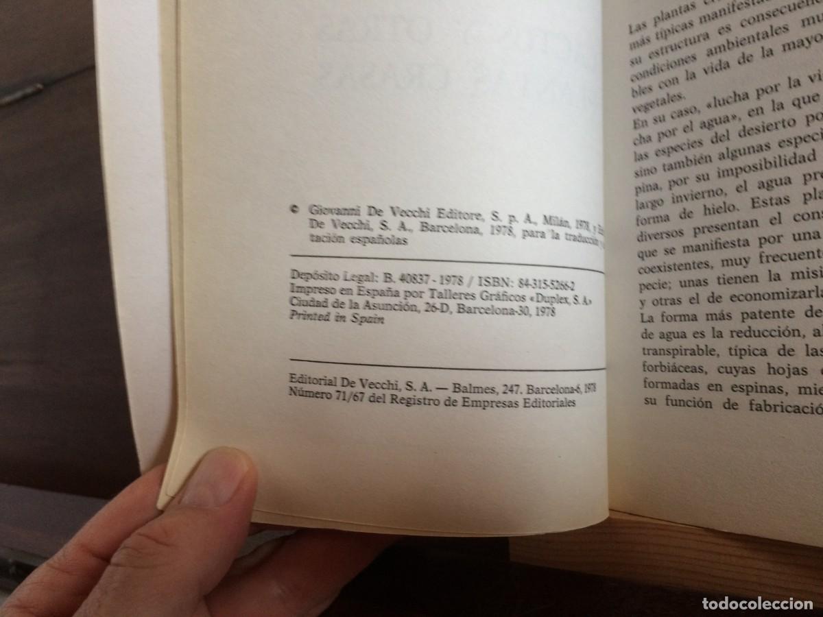 Libros de segunda mano: CACTUS Y OTRAS PLANTAS CRASAS - BOT&Aacute;NICA . - Foto 2