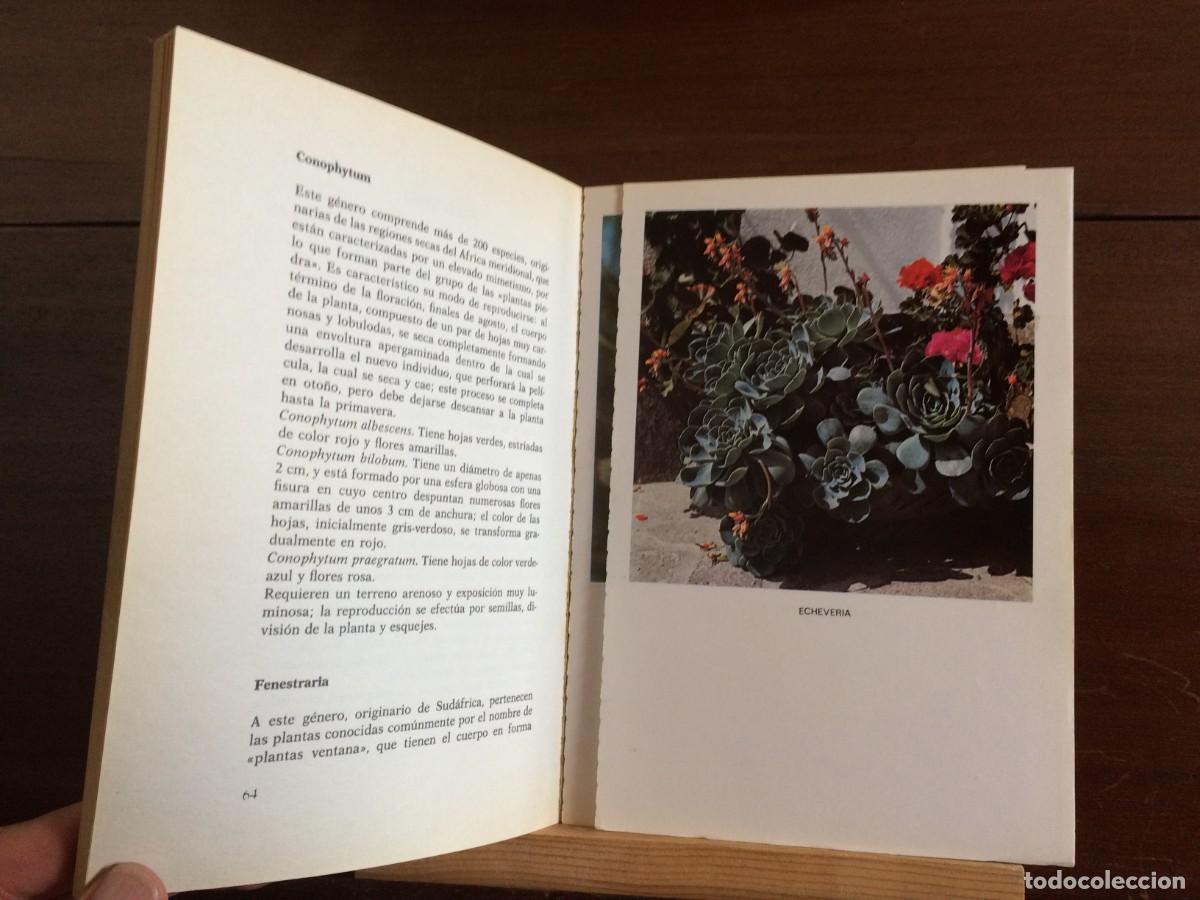 Libros de segunda mano: CACTUS Y OTRAS PLANTAS CRASAS - BOT&Aacute;NICA . - Foto 3