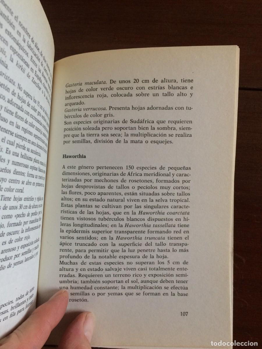 Libros de segunda mano: CACTUS Y OTRAS PLANTAS CRASAS - BOT&Aacute;NICA . - Foto 5