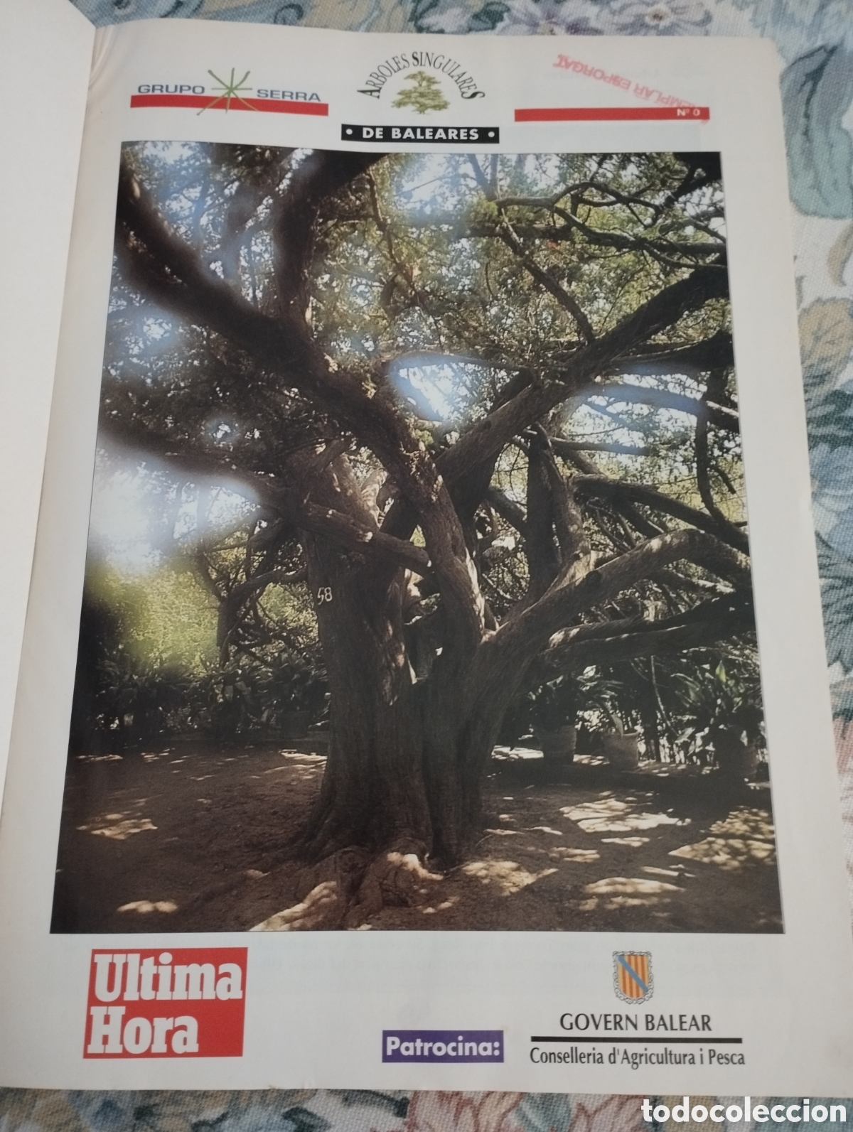 Libros de segunda mano: ARBOLES SINGULARES DE BALEARES (PEP ROIG) - Foto 2
