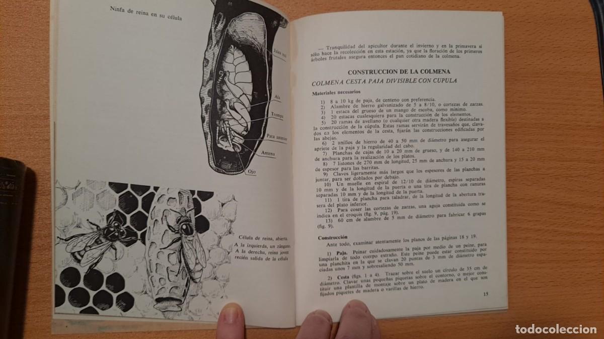 Libros de segunda mano: ABEJAS. &rdquo;MIS AMIGOS LOS ANIMALES&rdquo; - Foto 4