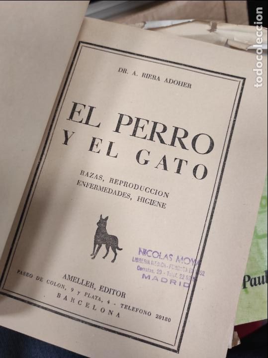 Libros de segunda mano: EL PERRO Y EL GATO. RIERA ADOHER - Foto 2