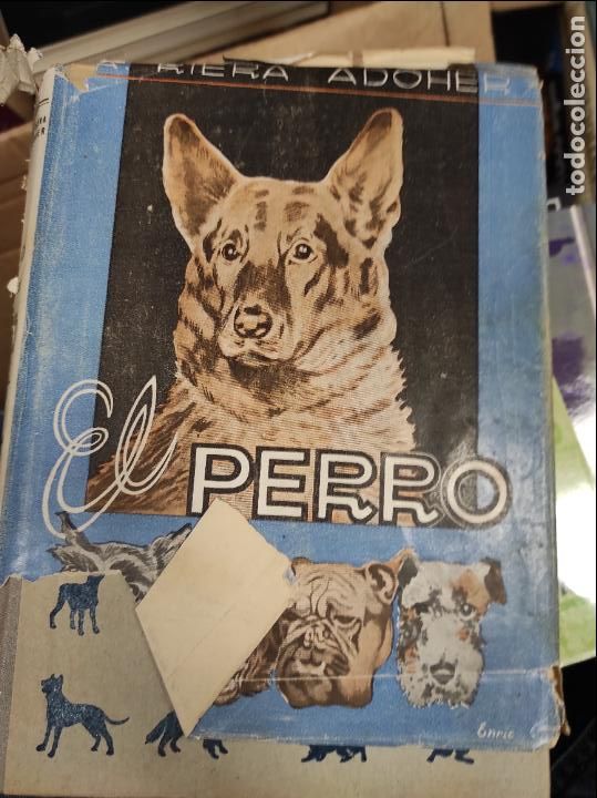 Libros de segunda mano: EL PERRO Y EL GATO. RIERA ADOHER - Foto 1