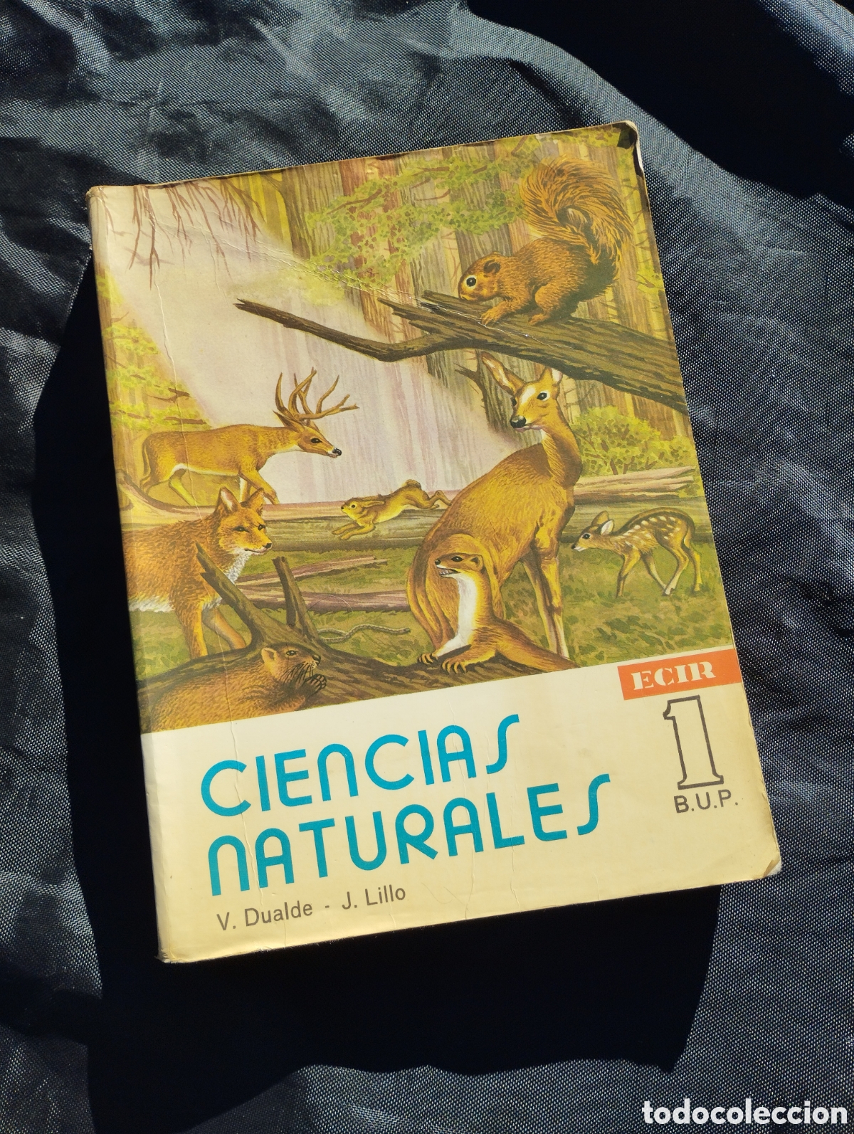 Libros de segunda mano: Ciencias Naturales 1&ordm; BUP. V. Dualde y J. Lillo. ECIR. - Foto 1
